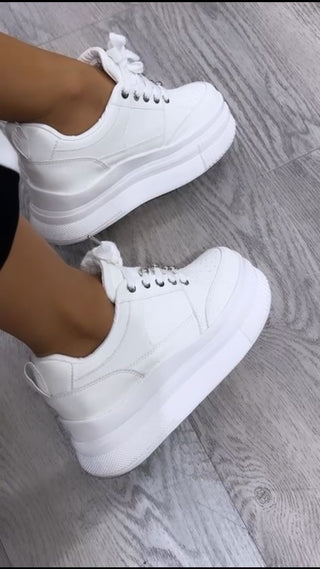 TENIS CLASICOS